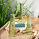 VivaStyle Veranda Garden Vase, Glass, 8''H, Asst of 3