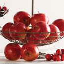 Napa Home Garden, GALA APPLE 3.25",w1003r