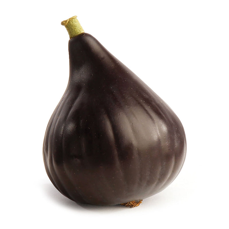 Napa Home Garden, FIG 2.25",w1006