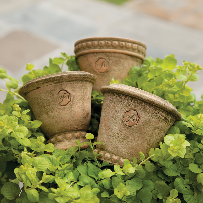 NAPA Home & Garden, WAKEFIELD HANDMADE MINI POTS, SET OF 6,WH111AT