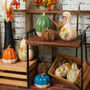 Blue & Khaki LG Pumpkin Fig