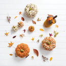 Med Wooly Pumpkins, A/3