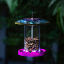 Solar birdfeeder, Dragonfly with purple base