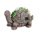 Solar Resin Succulent Turtle