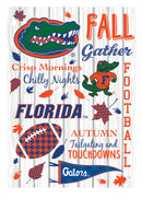University of Florida, Moire Flag, House Size, Fall Seasonal,13m939