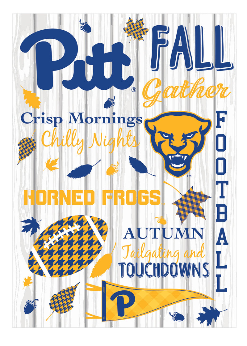 University of Pittsburgh, Moire Flag, House Size, Fall Seasonal,13m961