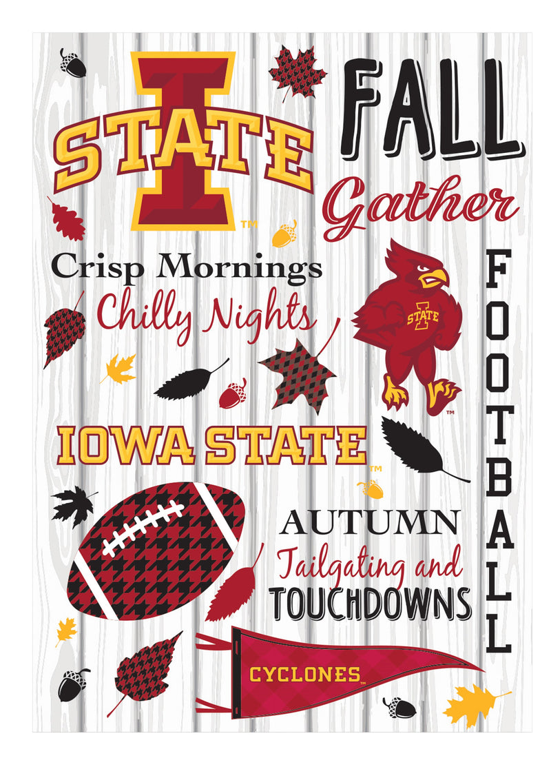 Iowa State University, Moire Flag, House Size, Fall Seasonal,13m962