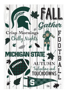 Michigan State University, Moire Flag, House Size, Fall Seasonal,13m971