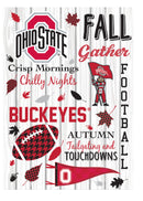 Ohio State University, Moire Flag, House Size, Fall Seasonal,13m973