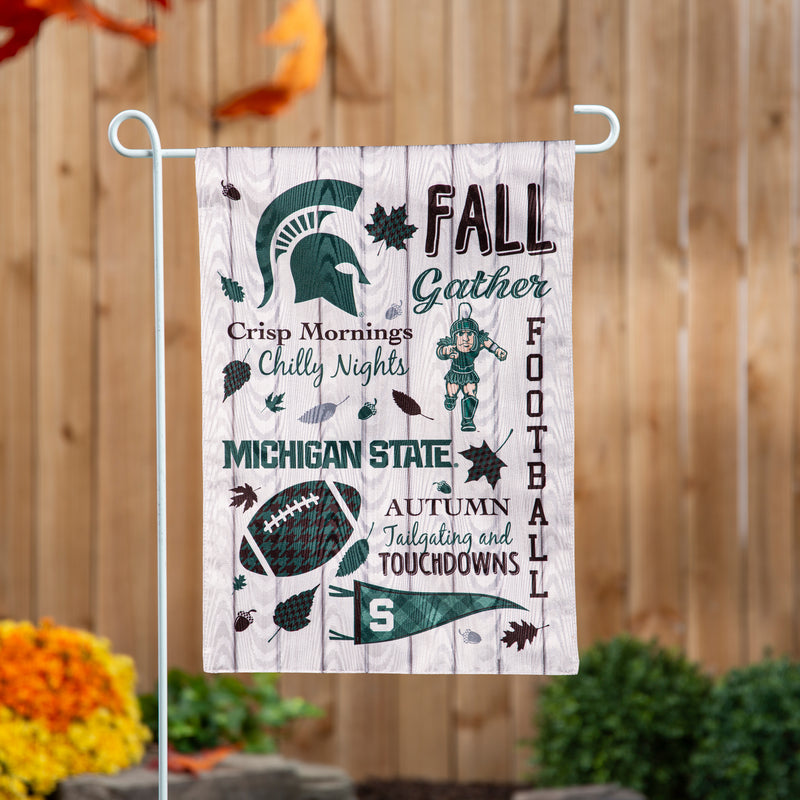 Michigan State University, Moire Flag, GDN, Fall Seasonal,14m971
