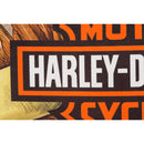 Flag, Suede, Gar, DS, Legendary Eagle, H-D,14s4920fb