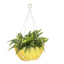 Citrus Fruit Hanging Fabric Planters, Set of 3,2fp035