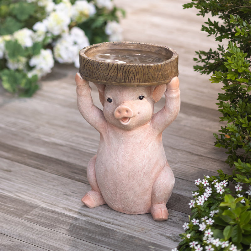 Evergreen Bird Bath,Pig Resin Birdbath,10.83x9.25x16.34 Inches