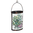 Handpainted Solar Glass Lantern, Succulents,5.91"x3.74"x9.45"inches