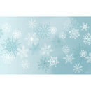 Winter Frost Washable Layering Mat,2wlm001