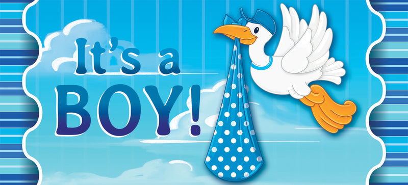 Stork With Special Delivery-Boy Sassafras Switch Mat