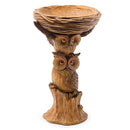 Carved Resin Owls Birdbath,59p82