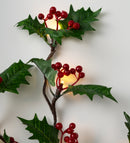 Indoor/Outdoor Holly and Berry Lighted Branches, Set of 2,65k55