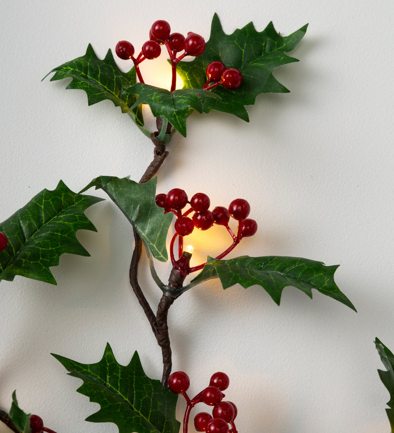 Indoor/Outdoor Holly and Berry Lighted Branches, Set of 2,65k55