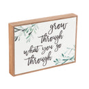 Framed Wall Decor, "Grow Through What You Go Through",6w471