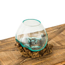 Glass Planter on Driftwood,8prm002