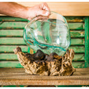 Glass Planter on Driftwood,8prm002