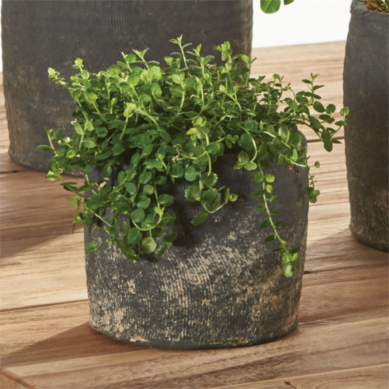 Napa Home & Garden Antwerp 4.5" Rd Pot Graywash