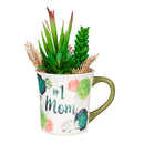 Coffee Cup and Succulent  Gift Set, 8 OZ,