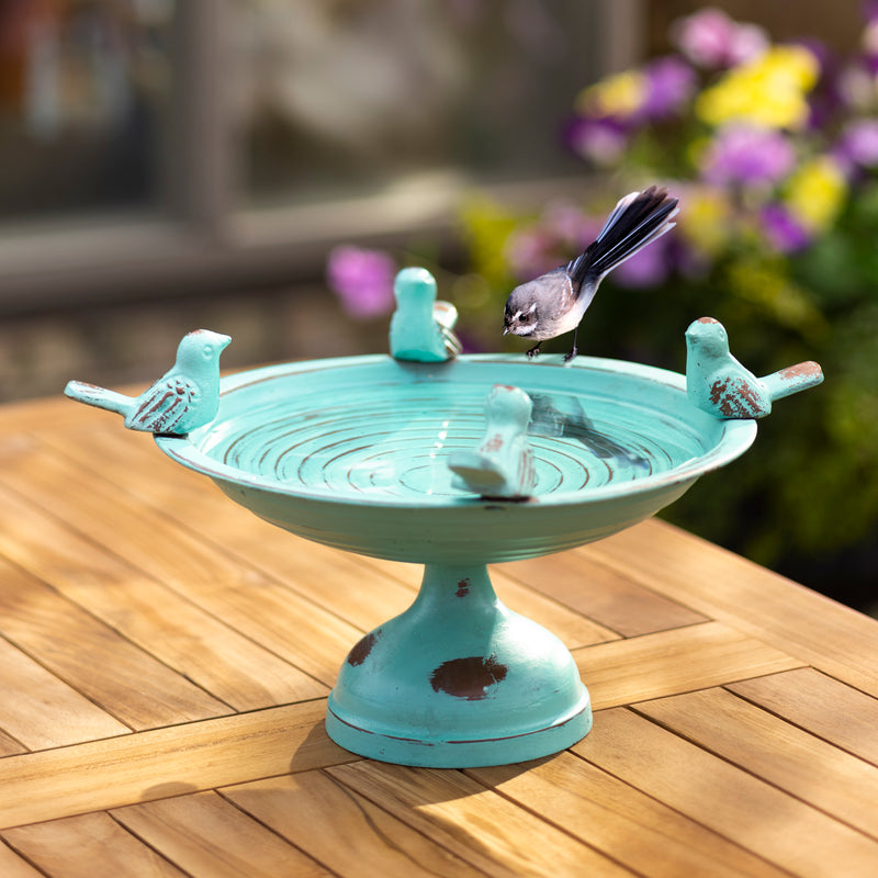 Evergreen Bird Bath,Perched Birds Metal Tabletop Bird Bath, Turquoise,12x12x7 Inches