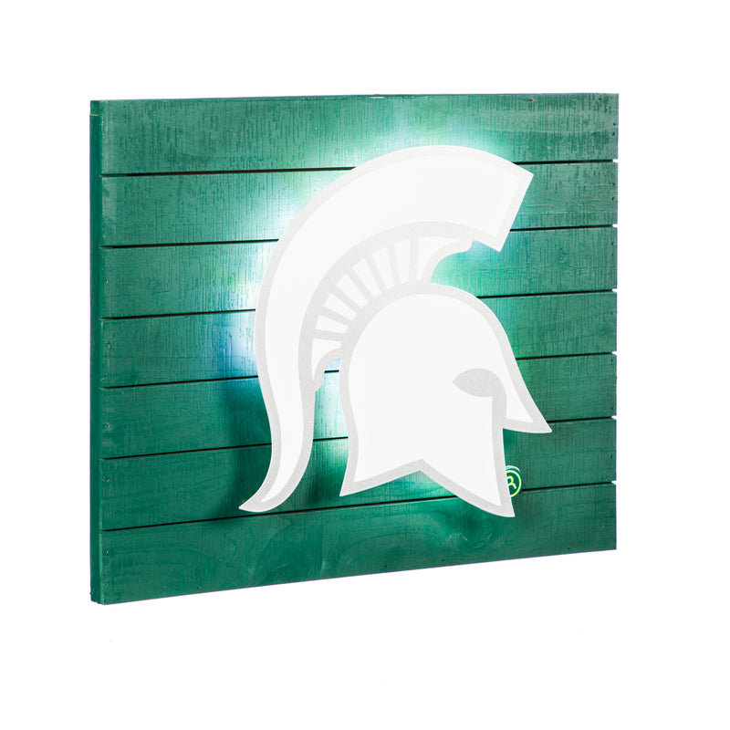 Lit Wall Decor, Michigan State University